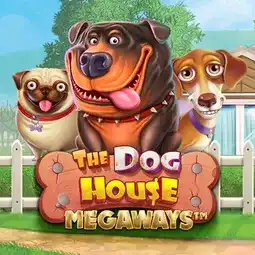 The Dog House Megaways game at bwin Casino for United Kingdom players